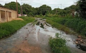 Más de 300 familias afectadas por el colapso de aguas servidas en Guárico