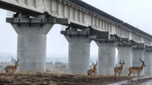 Enorme proyecto ferroviario de China en Kenia tendrá graves efectos medioambientales