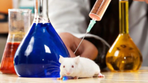 Científicos de EEUU lograron erradicar el cáncer con metástasis en ratones y perros