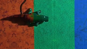 Crean un robot “camaleón” que cambia de color en tiempo real y puede revolucionar el camuflaje militar (VIDEO)