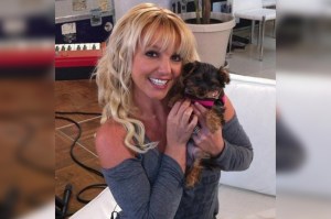 Britney Spears ha recuperado a sus perros luego de que se los quitaran por deshidratación