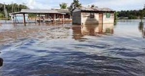 En Bolívar al menos 15 familias indígenas se encuentran afectadas por las inundaciones