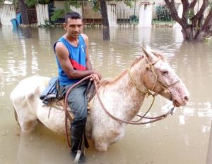 Cabalgando sobre la inundación: La curiosa IMAGEN que se viralizó durante el desastre en Apure