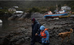 Satélites de Musk alumbran con internet una remota aldea de pescadores en Chile