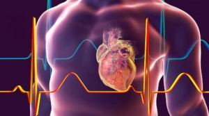 Un algoritmo permite identificar a las personas por el latido del corazón