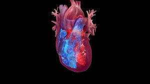 ¿Cómo prevenir un infarto y otras enfermedades cardiacas?