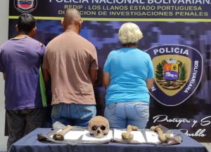 Detuvieron a tres personas por tráfico de restos humanos en Portuguesa