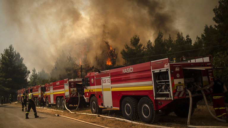 Las IMPACTANTES FOTOS de la catástrofe ecológica en Grecia tras incendios