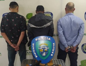 PoliBaruta captura a delincuentes que robaban en una residencia en Vizcaya