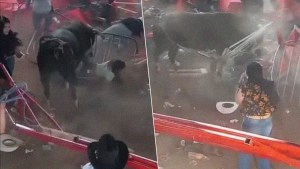 Un rodeo a la mexicana: Toro embistió a la multitud y la fiesta clandestina terminó con una balacera (VIDEOS)