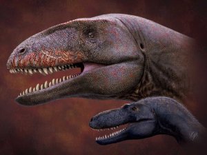Descubren restos de un dinosaurio carnívoro con dientes de tiburón y cola de lagarto (FOTO)