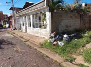 Habitantes de Villa Icabarú en Bolívar, sometidos por “las plagas” del chavismo: Sin luz e inundados de basura