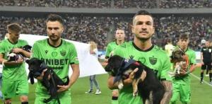“Llena el vacío en tu vida”: Rumania promoverá adopción de perros durante partidos de fútbol
