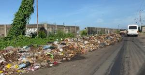 A Ciudad Guayana se la va a llevar los zamuros por los problemas de basura (Fotos)