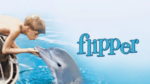 ¿Suicidio? El triste final del delfín de la recordada serie “Flipper”