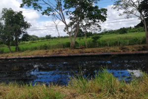 En VIDEO: Nuevo derrame de crudo afectó las vías al sur de Monagas