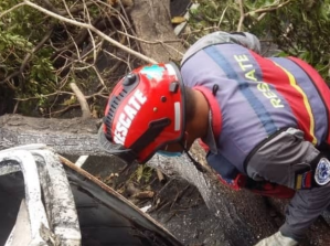 Niña murió junto a su mascota tras incendio de una camioneta en la Francisco Fajardo