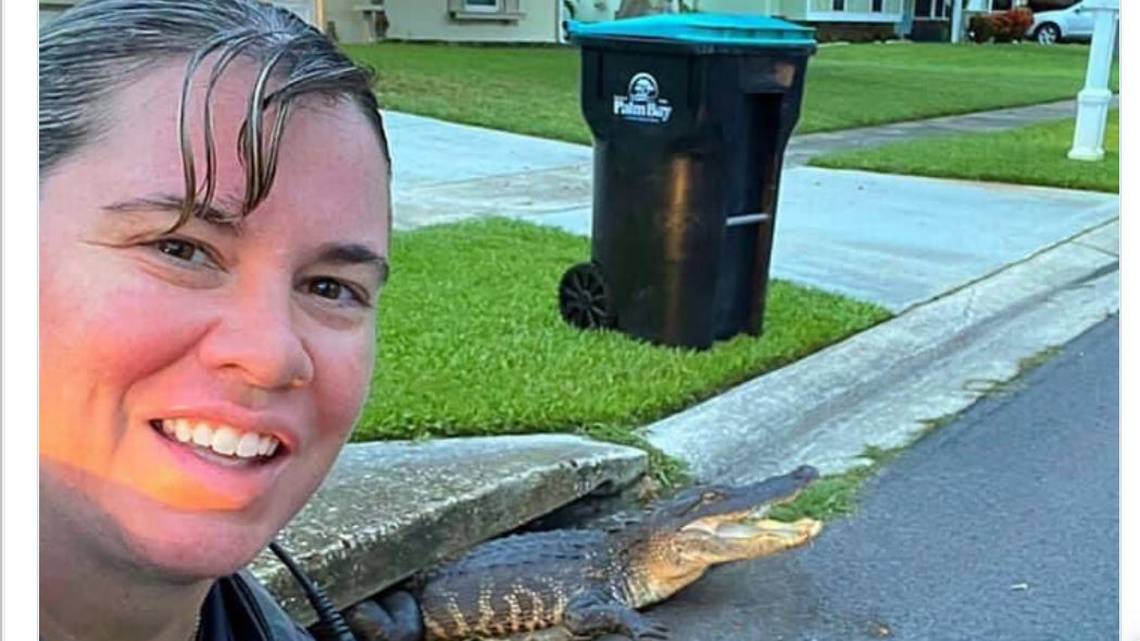 VIRAL: Un simpático caimán salió de una alcantarilla en Florida para tomarse una foto con la policía