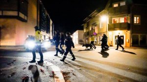 Policía noruega considera que el autor del ataque con arco y flechas en un enfermo psiquiátrico
