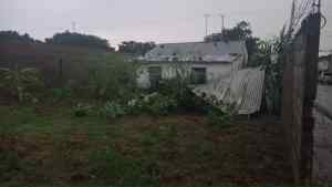 Tormenta eléctrica y fuertes vientos tumbaron techos, guayas, cercas y árboles en Pariaguán