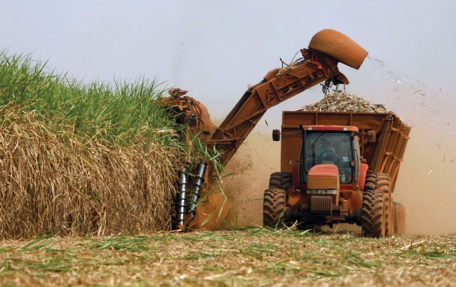 Brasil lanza metas de reducción de carbono para la agricultura