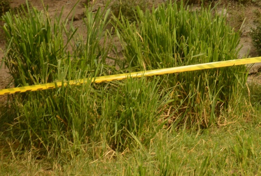 Crimen atroz en Colombia: Un hombre le disparó a otro, lo desmembró y luego intentó lanzarlo a un río