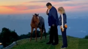 Infobae: Maduro sigue hablando con animales, VIDEO muestra su conversación con un caballo