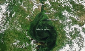 Aguas Turbulentas: Las inquietantes imágenes satelitales del Lago de Maracaibo de la NASA