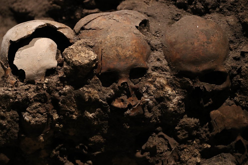 “Culto a la vida”: Una torre de cráneos humanos sepultados durante 500 años bajo la Ciudad de México
