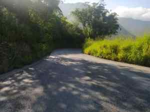 La carretera La Victoria – Colonia Tovar “se está hundiendo” entre la maleza y los huecos del pavimento (FOTOS)