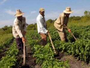 Fedeagro: En Venezuela la pobreza en zonas rurales ronda el 95%