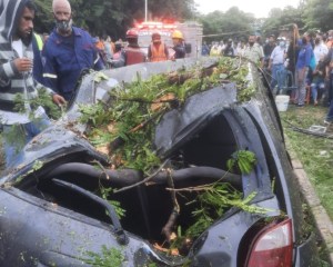Un muerto y cuatro vehículos dañados tras caída de árbol en Guarenas (video)