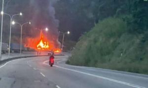 IMÁGENES: Se incendió un camión en la Autopista Regional del Centro