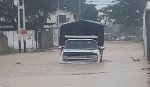 Calles de Lara inundadas tras fuertes lluvias este #31Oct (Fotos y videos)
