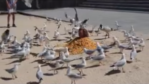 Bromista se cubre con papas fritas valoradas en cientos de dólares para atraer a una banda de aves (VIDEO)