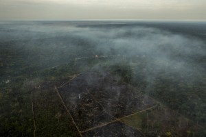 La Amazonía, castigada y al borde del abismo (FOTOS)