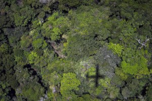 El Gobierno de Brasil califica de “inaceptable” la deforestación amazónica