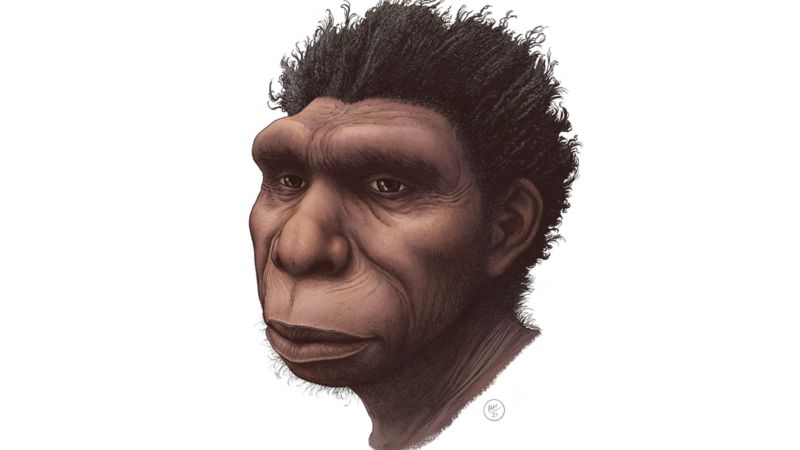 Homo bodoensis: La nueva especie que un grupo de científicos considera “el ancestro directo de los humanos”