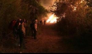 Invasiones e incendios agudizan la agonía del Parque Henri Pittier (Fotos)