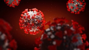 La exposición a otros coronavirus inofensivos mejora la inmunidad contra el Covid-19