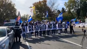 Nicaragüenses protestaron en Washington para rechazar las elecciones manipuladas por la dictadura de Ortega (VIDEO)
