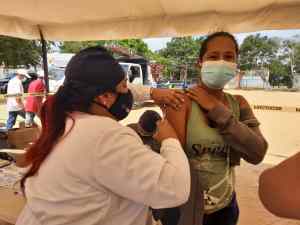 En Anzoátegui mantienen planes de vacunación para contener contagios de fiebre amarilla