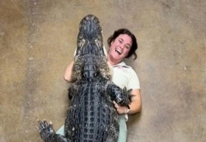 ¡WOW! El “abrazo” de un enorme caimán a su cuidadora que se hizo viral (VIDEO)