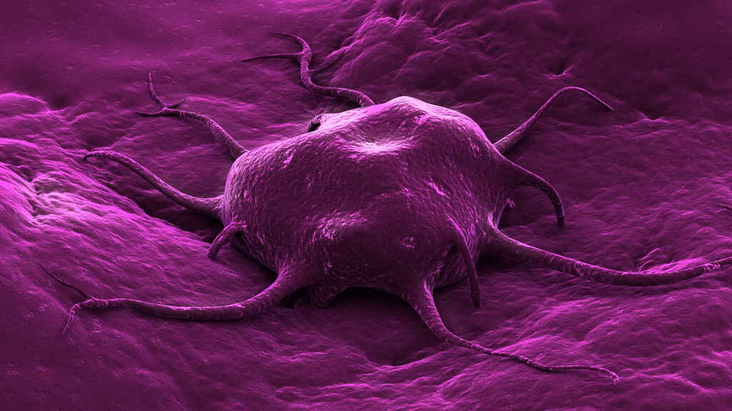Vía genómica: el hallazgo que permitiría prever el cáncer de hígado con dos décadas de antelación
