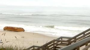 Misterio en las playas de Florida por la aparición de una gran caja de metal (VIDEO)