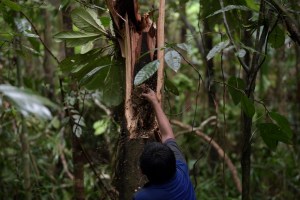 Enero de 2022, el mes más ardiente para la Amazonia colombiana en una década