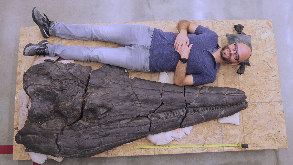 Descubren enorme cráneo de un “monstruo marino” prehistórico en el lugar más seco de EEUU
