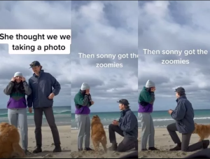 Emotiva reacción de un perrito cuando su dueño le propuso matrimonio a su novia en la playa (VIDEO)
