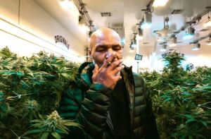 El trabajo relacionado al cannabis que un país africano le ofreció a Mike Tyson