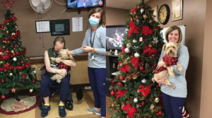 Enfermera se enteró que su paciente perdió a su perro, lo buscó y le dio una gran alegría